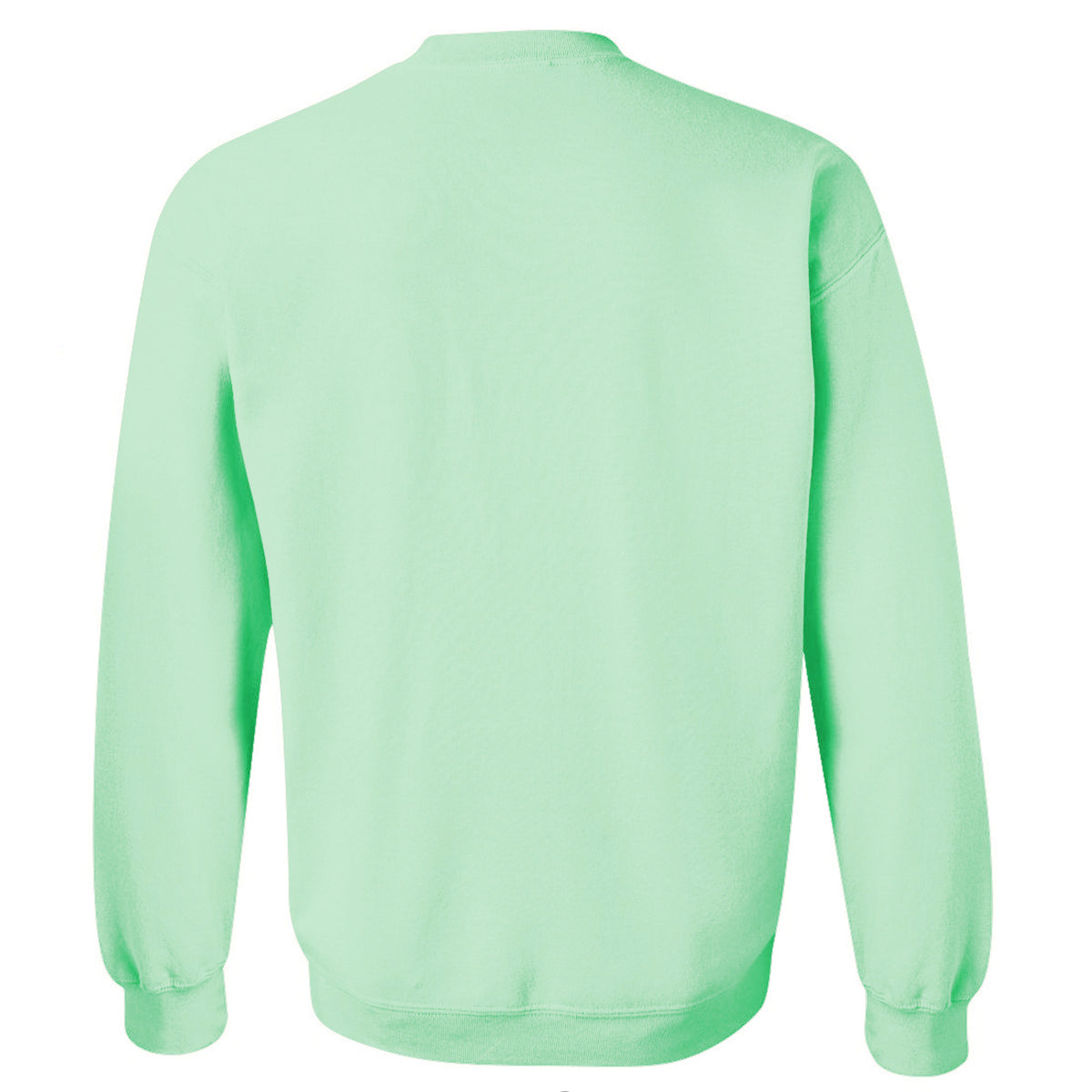 ★SATUR★ Classic Logo Sweatshirt Art Mint YHMCrewSageBack_1200x1200.jpg?